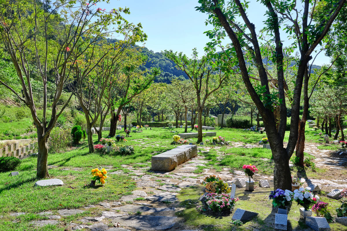 세수연 수목장